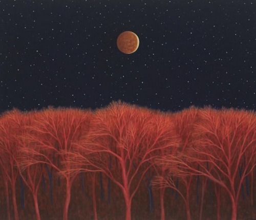 Lunar Eclipse - Scott Kahn