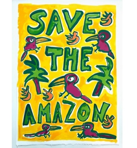 Save the Amazon - Katherine